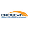 Bridgevin Logo
